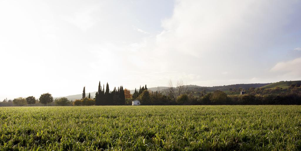 Cuevas Del Pino Turismo Rural Y Emocional Sl Villarrubia 外观 照片