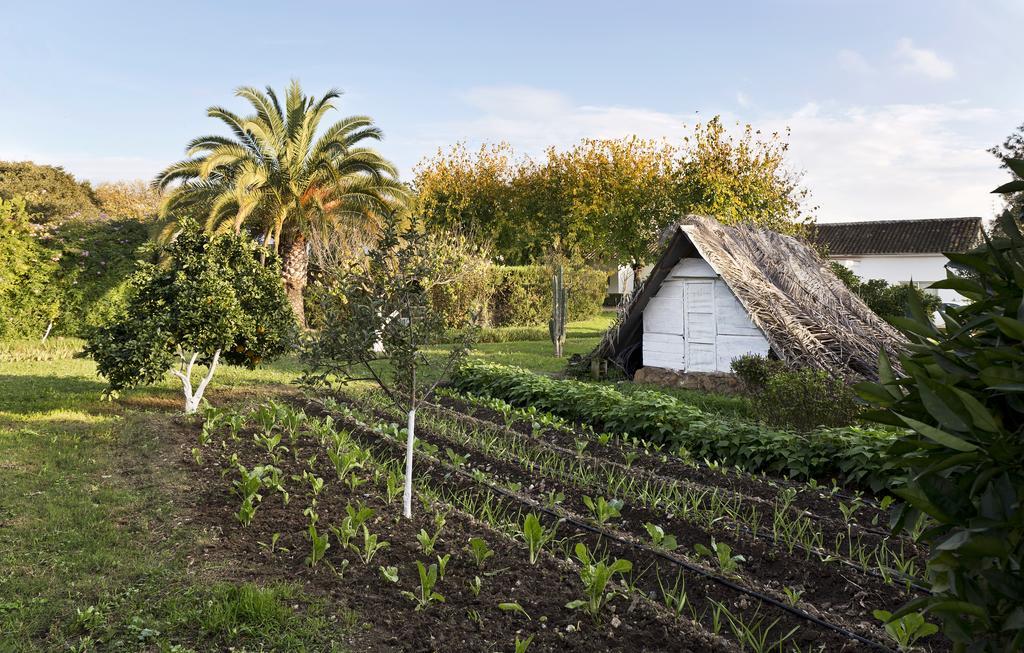 Cuevas Del Pino Turismo Rural Y Emocional Sl Villarrubia 外观 照片