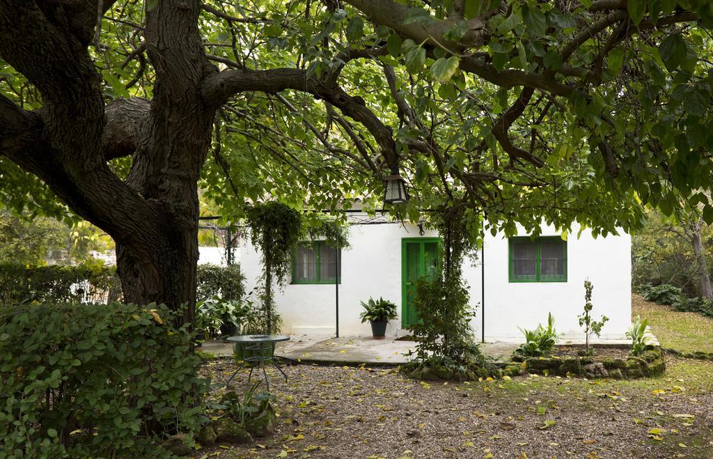 Cuevas Del Pino Turismo Rural Y Emocional Sl Villarrubia 外观 照片