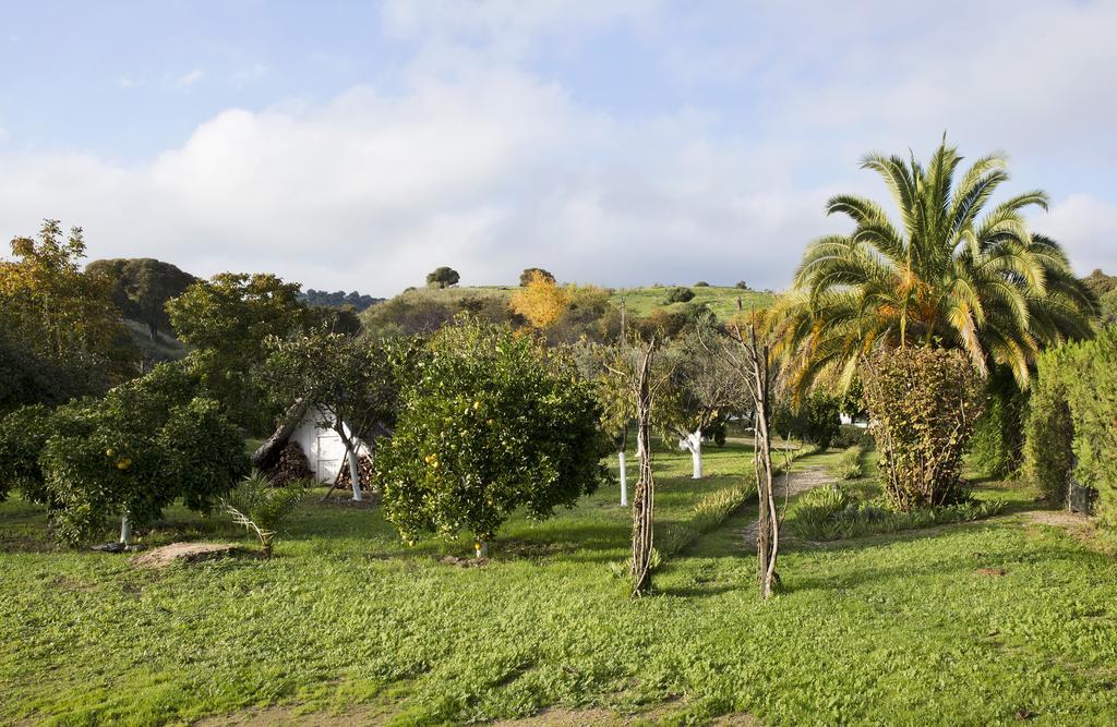 Cuevas Del Pino Turismo Rural Y Emocional Sl Villarrubia 外观 照片