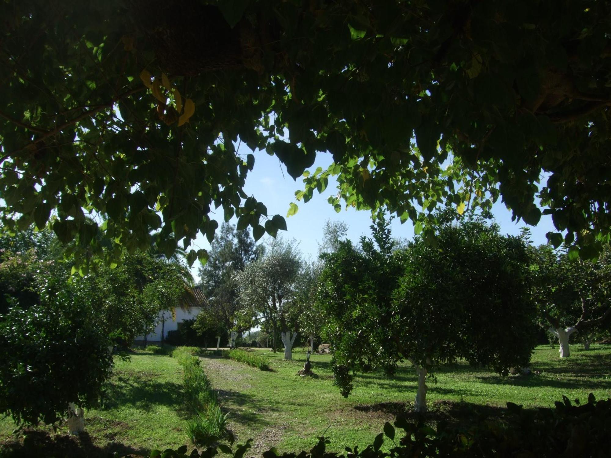Cuevas Del Pino Turismo Rural Y Emocional Sl Villarrubia 客房 照片
